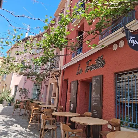 Le Treillou Appartamento Collioure